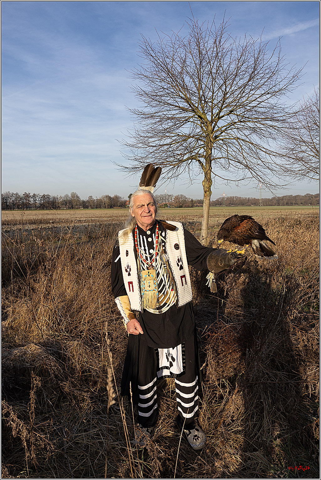Cheyenne-Halbblut Hunting Wolf in der Falknerei Pierre Schmidt; Gymnich, 09.02.2023